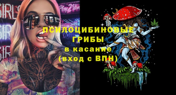 синтетический гашиш Алексеевка