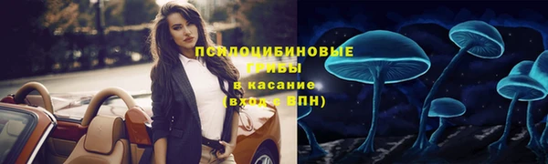 apvp Россошь
