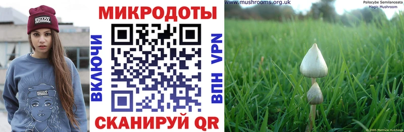 Псилоцибиновые грибы прущие грибы  хочу   Грязовец 